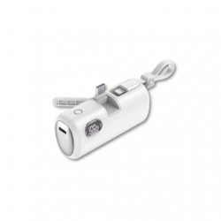 POWERBANK QCHARX TESEO